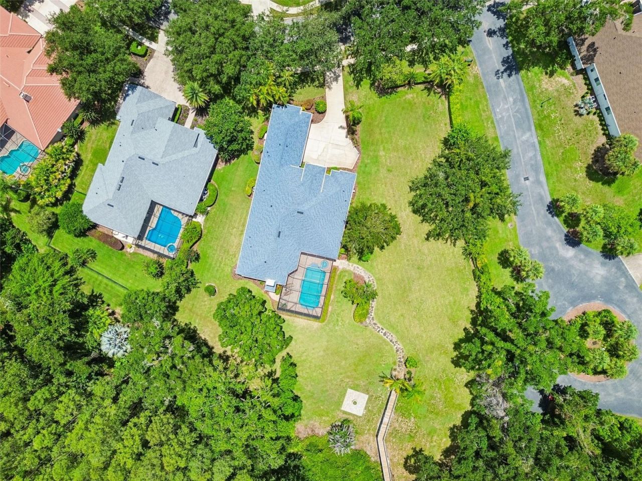 21105 Lake Vienna Drive, Land O Lakes, FL 34638 Photo