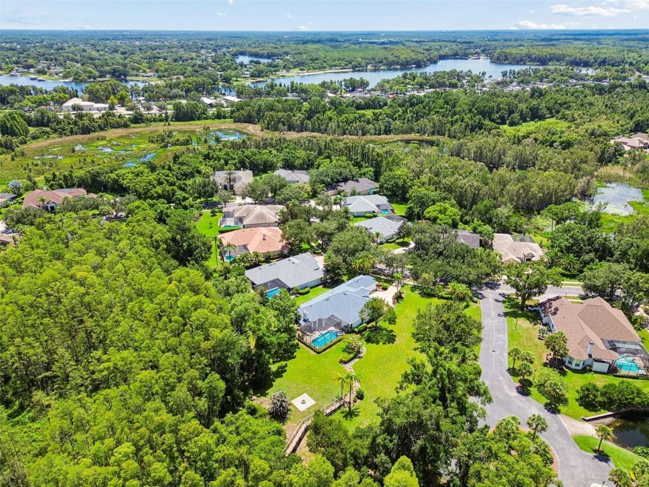 21105 Lake Vienna Drive, Land O Lakes, FL 34638 Photo