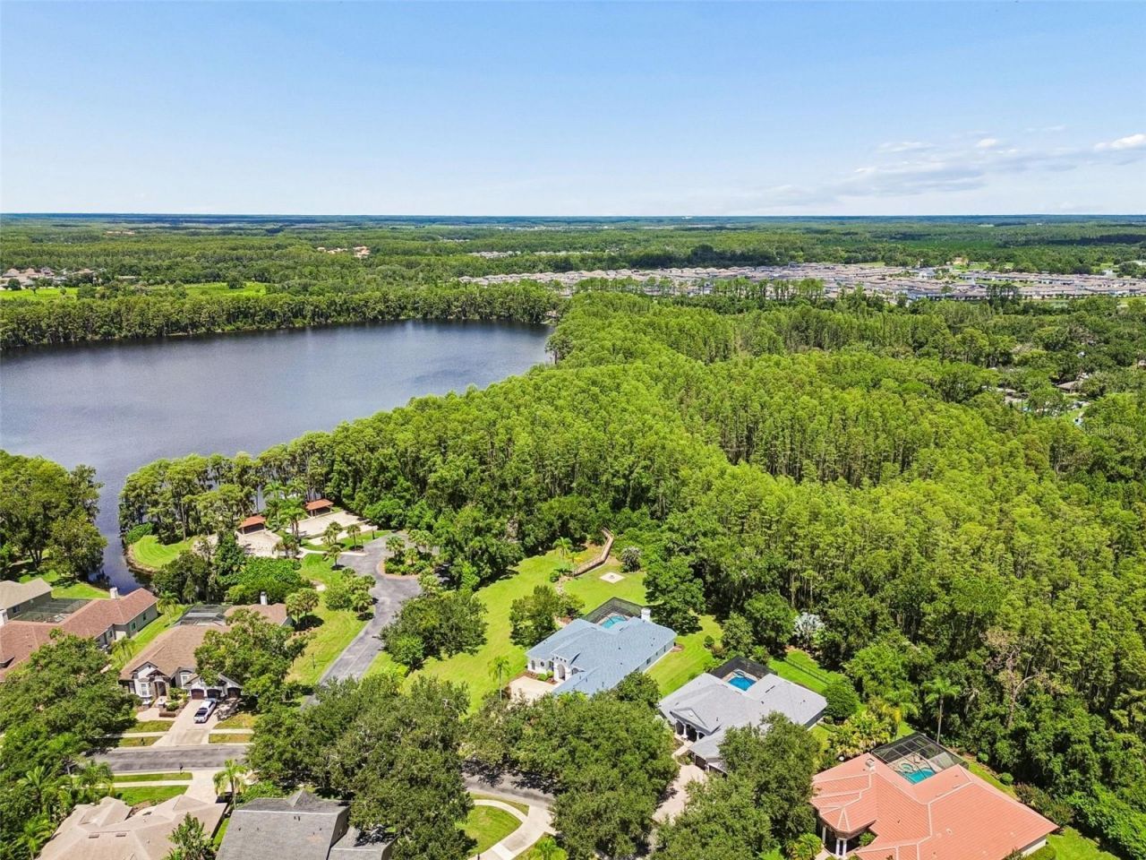 21105 Lake Vienna Drive, Land O Lakes, FL 34638 Photo