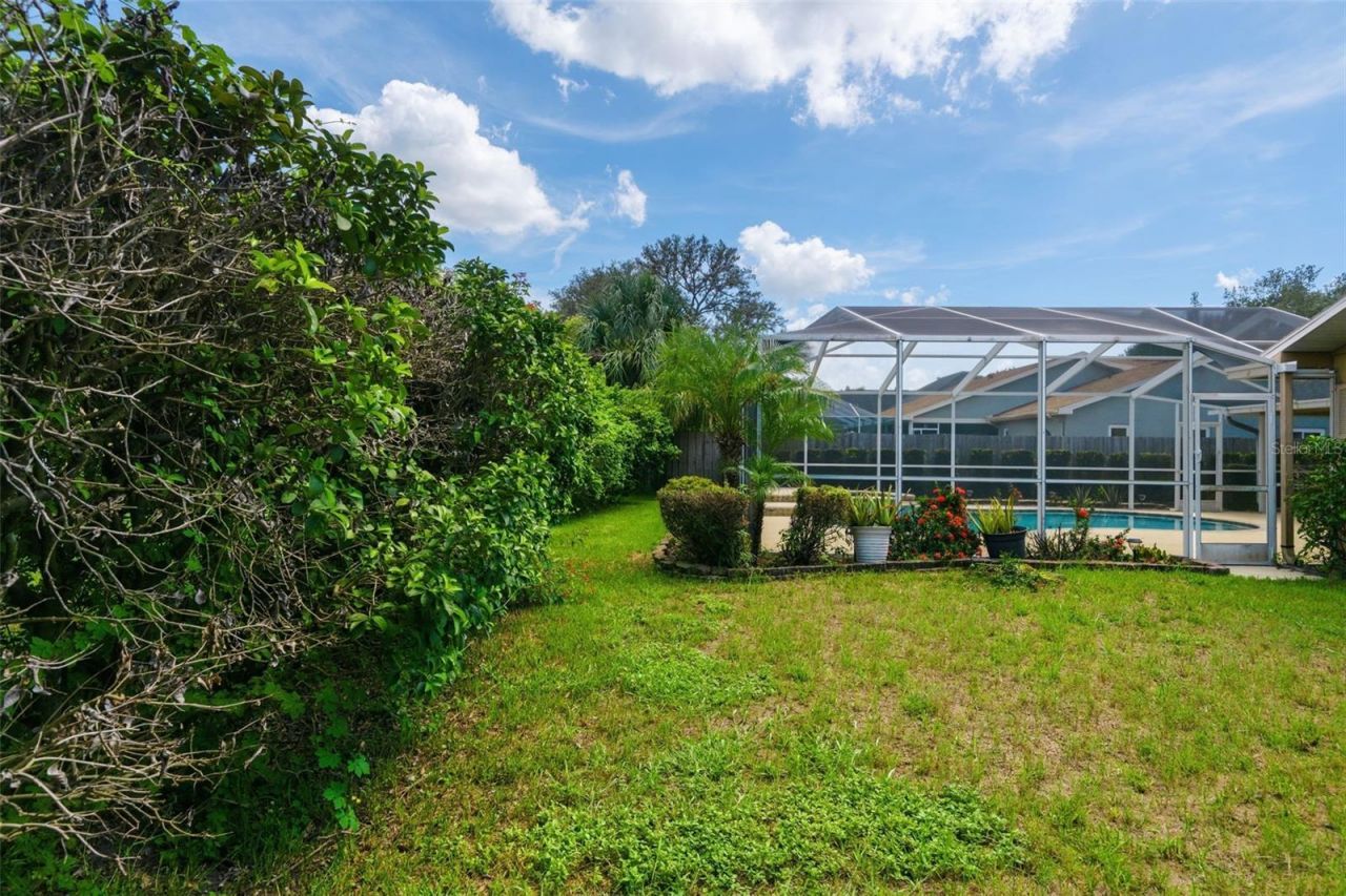 5244 Saltamonte Drive , New Port Richey, FL 34655 Photo