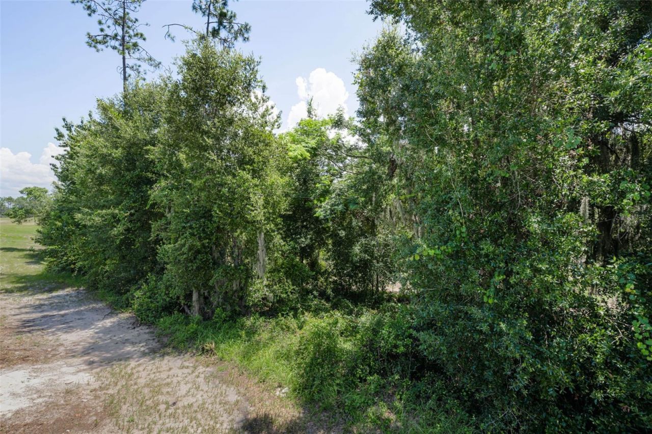 6780 Emerald Spring Loop , New Port Richey, FL 34653 Photo