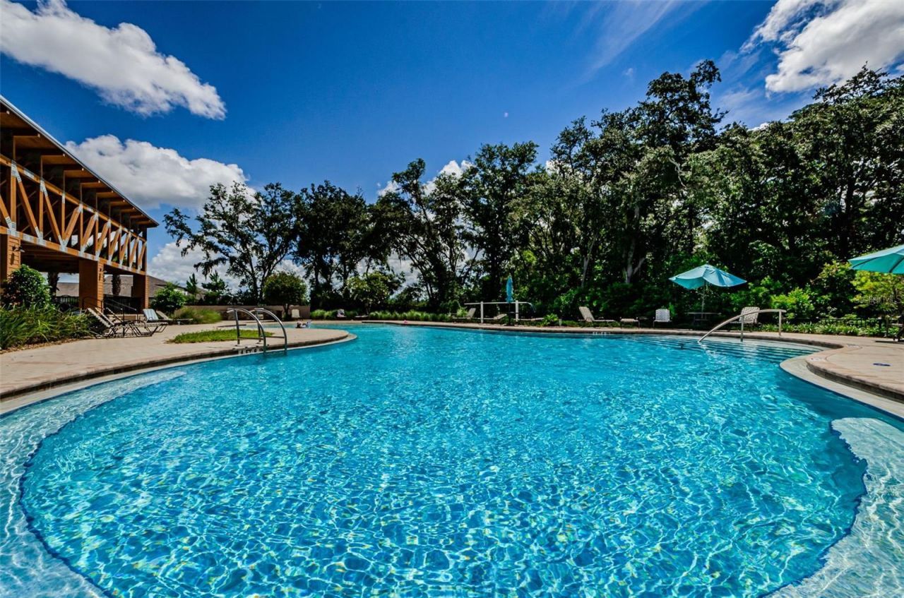 6780 Emerald Spring Loop , New Port Richey, FL 34653 Photo