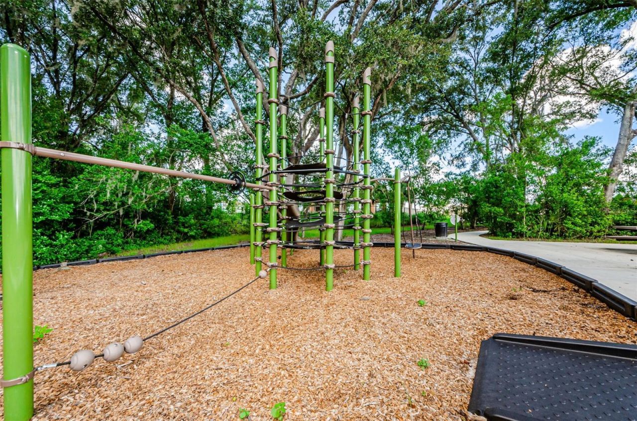 6780 Emerald Spring Loop , New Port Richey, FL 34653 Photo