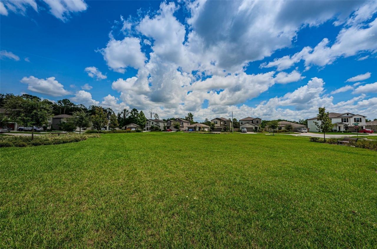 6780 Emerald Spring Loop , New Port Richey, FL 34653 Photo
