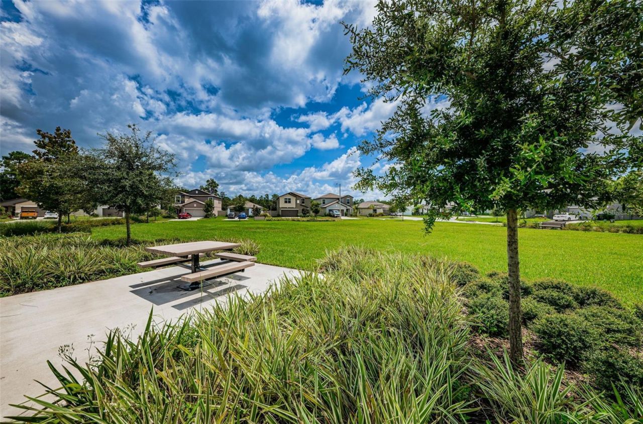 6780 Emerald Spring Loop , New Port Richey, FL 34653 Photo