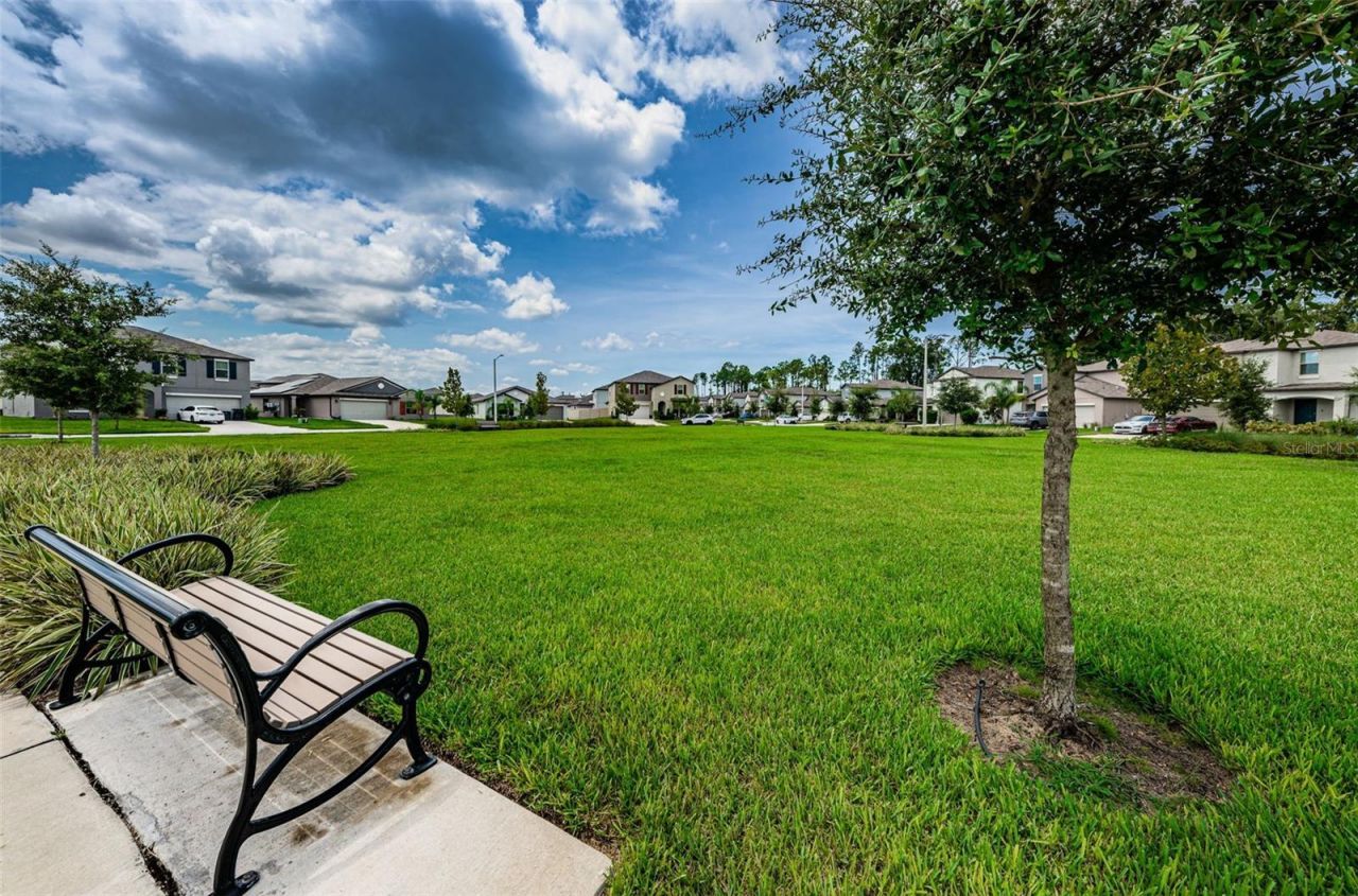 6780 Emerald Spring Loop , New Port Richey, FL 34653 Photo