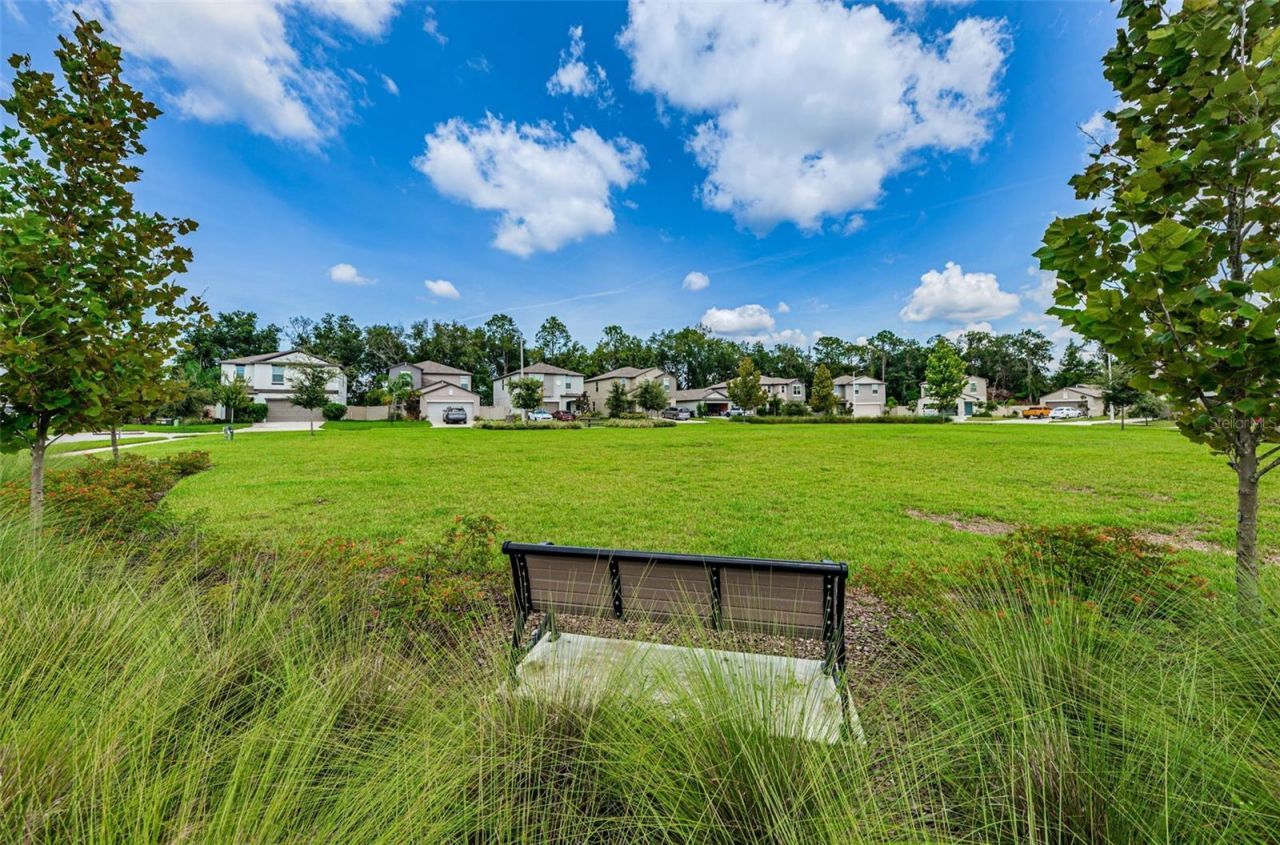 6780 Emerald Spring Loop , New Port Richey, FL 34653 Photo