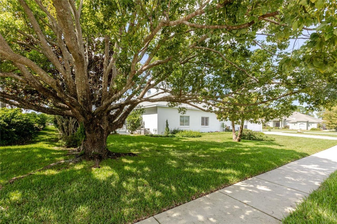 13382 Sagewater Court, Spring Hill, FL 34609 Photo