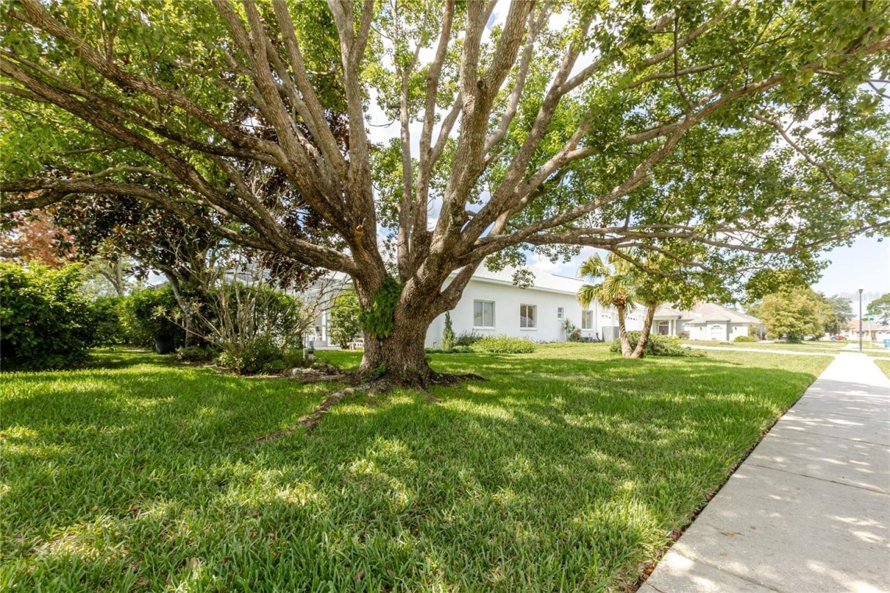 13382 Sagewater Court, Spring Hill, FL 34609 Photo