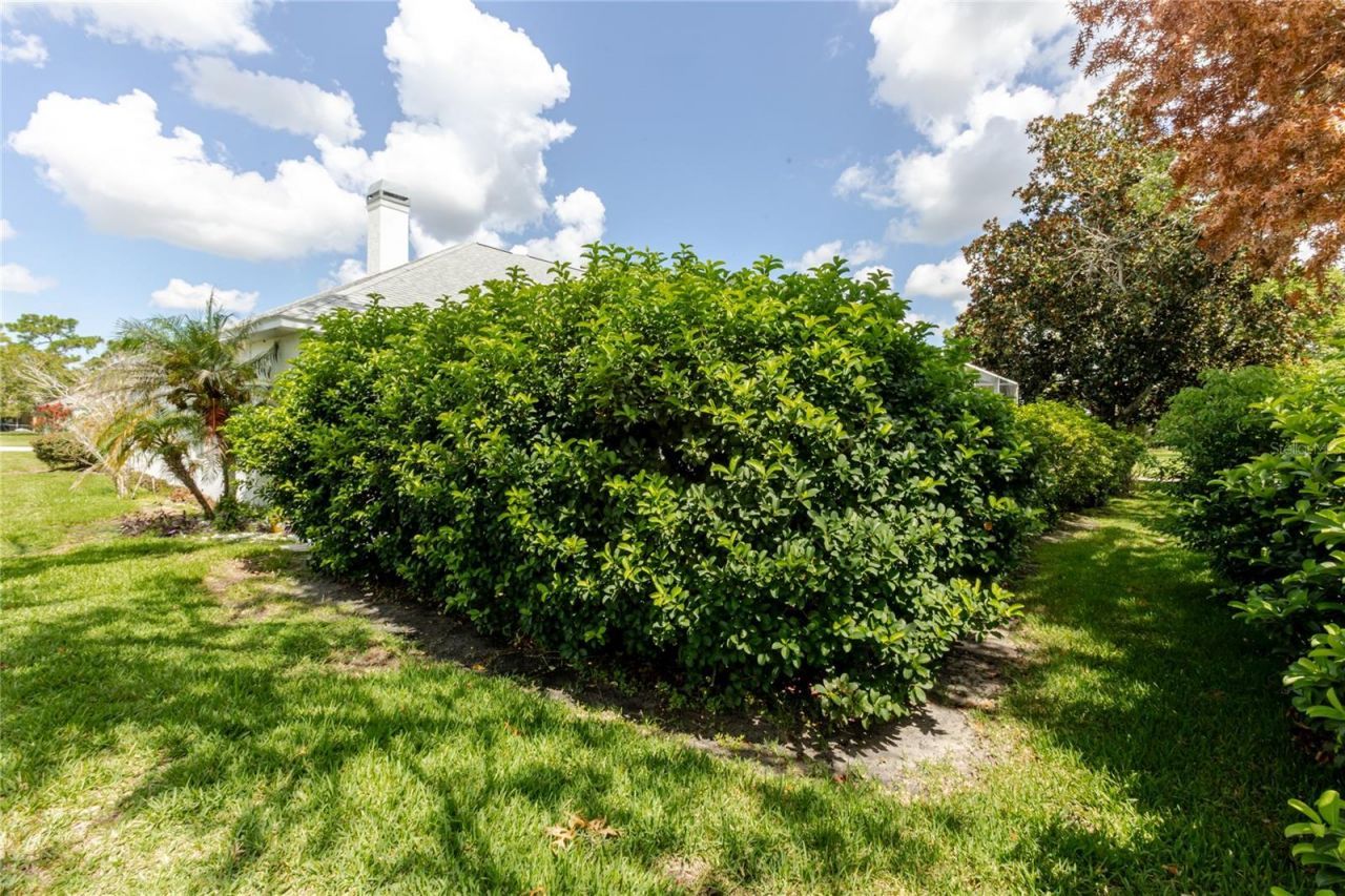13382 Sagewater Court, Spring Hill, FL 34609 Photo
