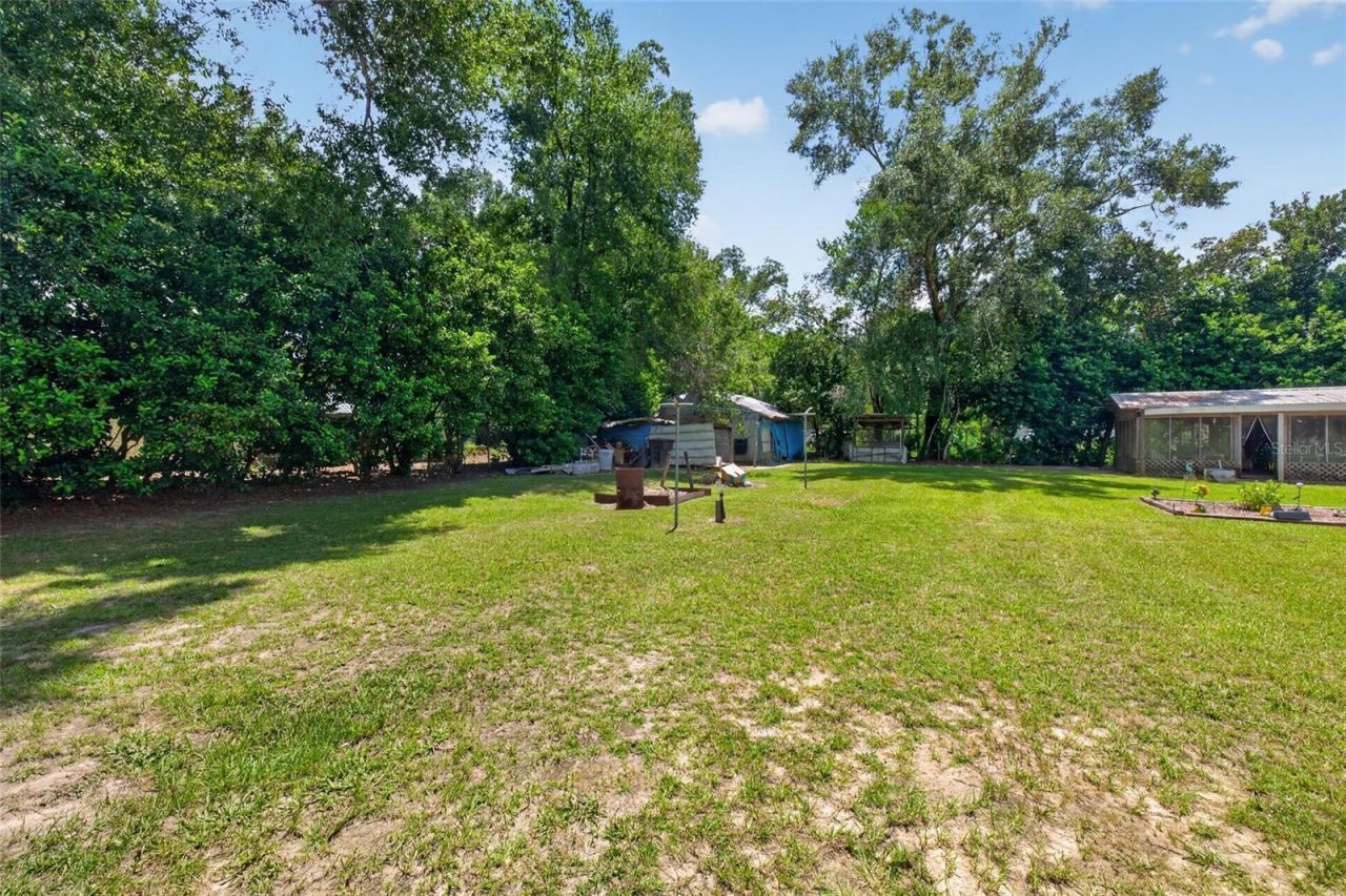 122 Hilty Circle, Wewahitchka, FL 32465 Photo