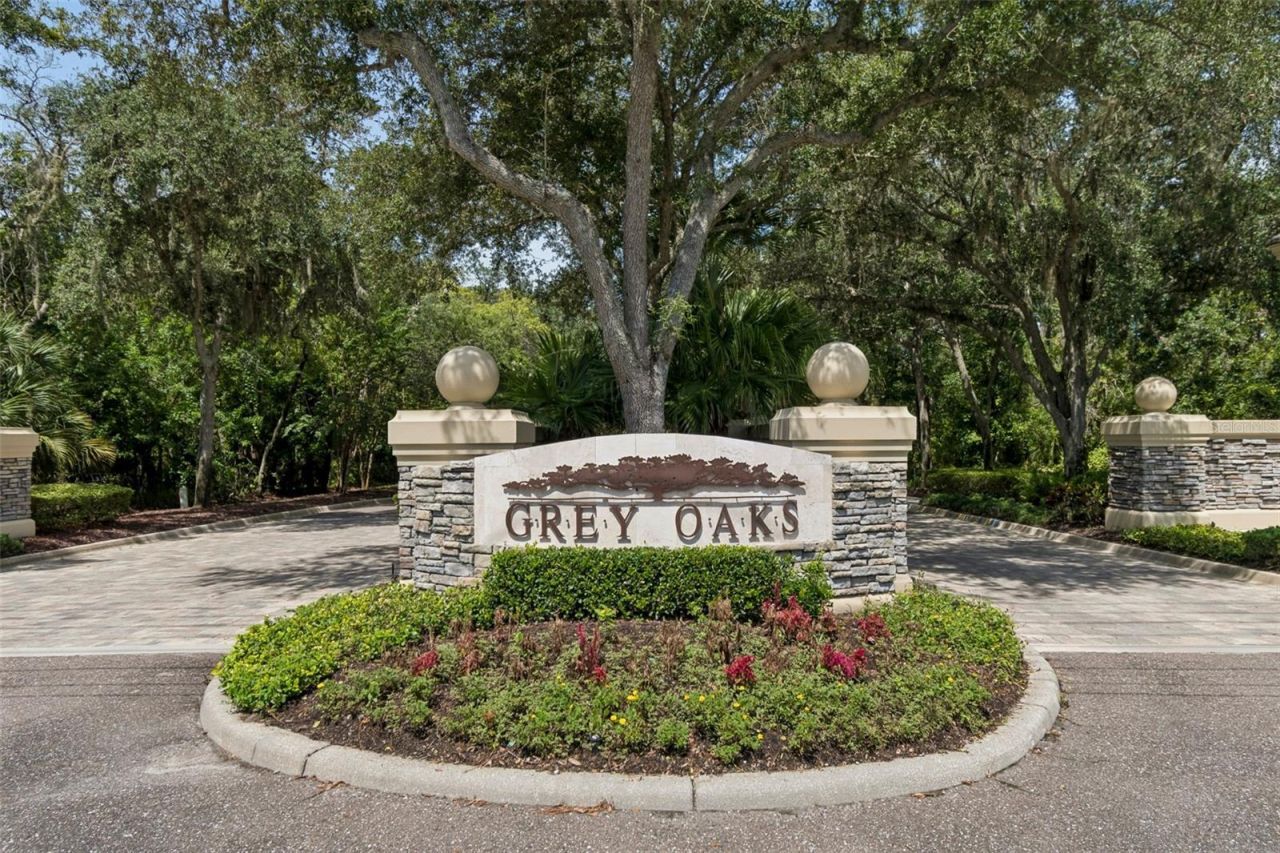 2967 Grey Oaks Boulevard, Tarpon Springs, FL 34688 Photo