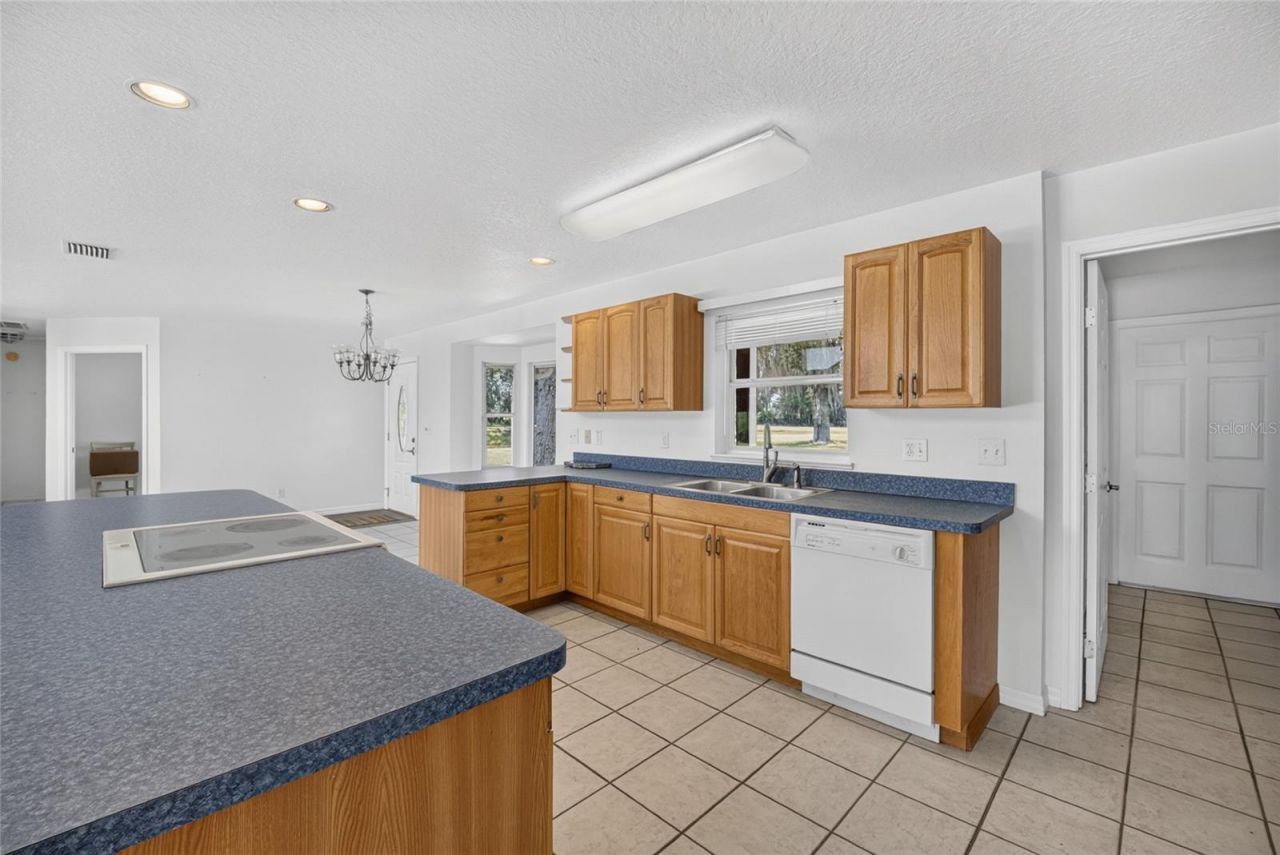 19785 NW 123rd Court, Micanopy, FL 32667 Photo