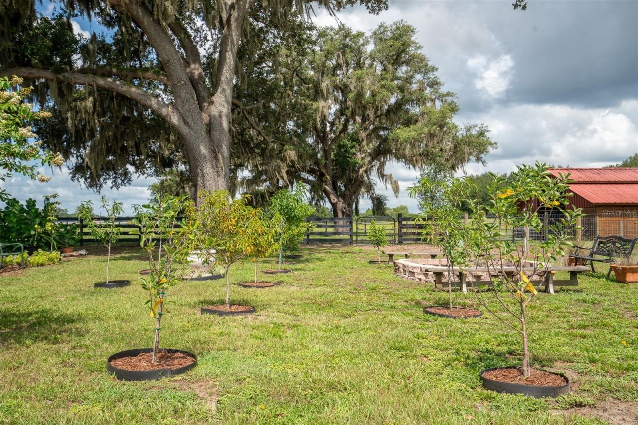 2242 Cr 543, Sumterville, FL 33585 Photo