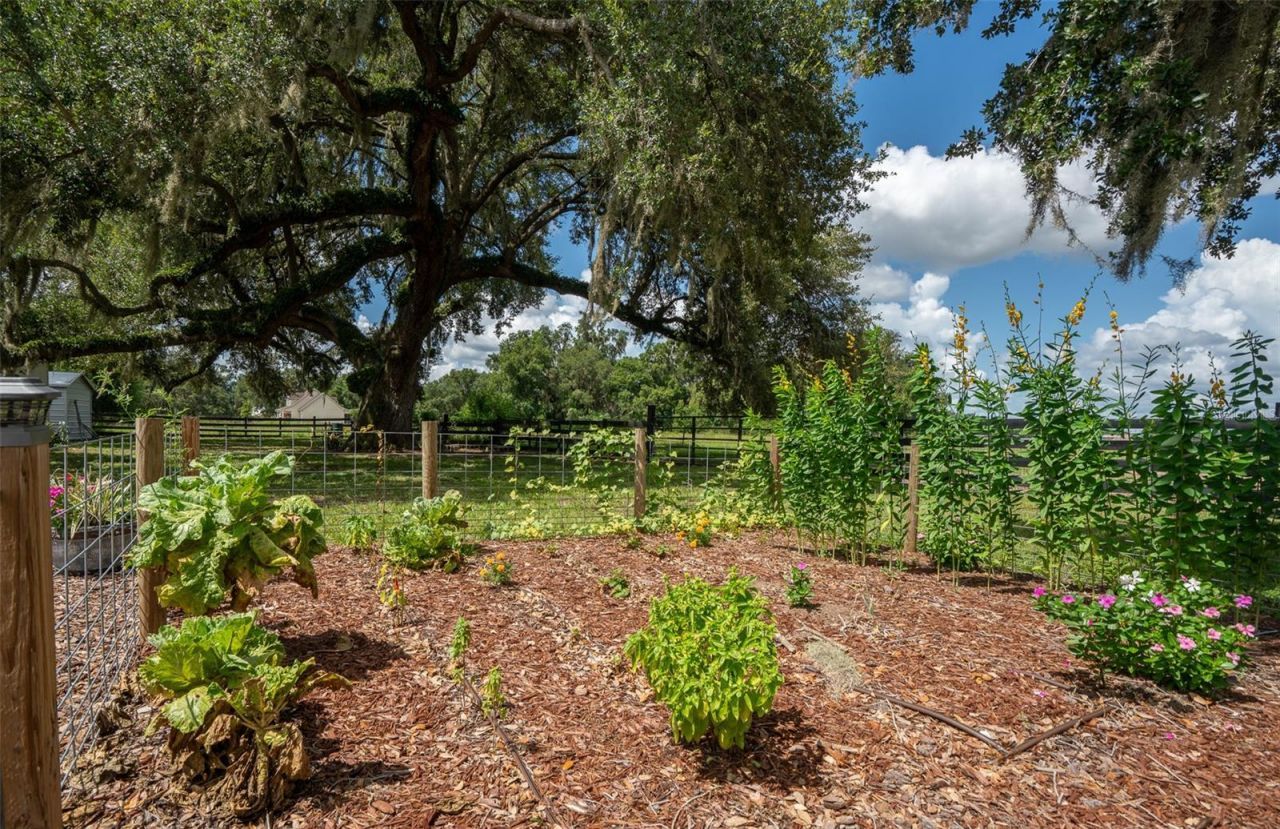 2242 Cr 543, Sumterville, FL 33585 Photo