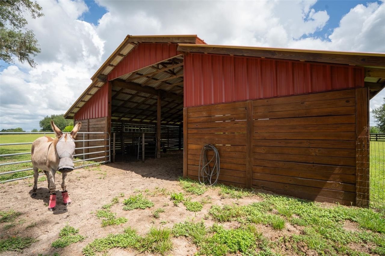 2242 Cr 543, Sumterville, FL 33585 Photo