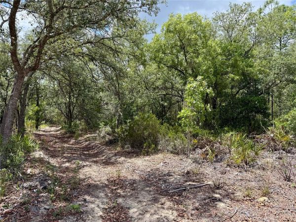 SW 200 STREET , ARCHER, FL 32618