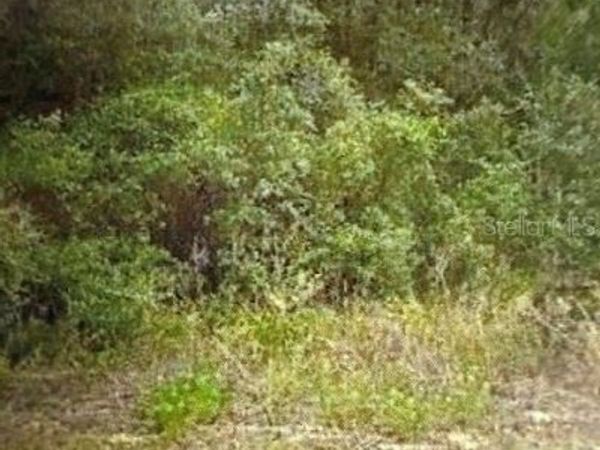 WALTON , DUNNELLON, FL 34434