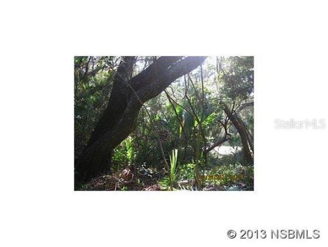 4148 Michigan Avenue , New Smyrna Beach, FL 32169 Photo