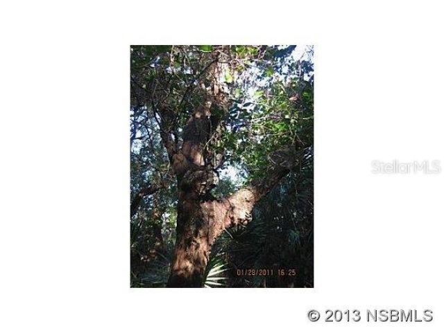 4148 Michigan Avenue , New Smyrna Beach, FL 32169 Photo