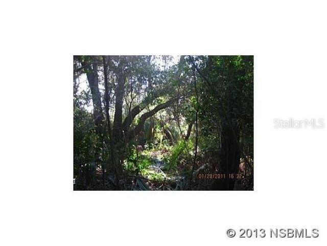 4148 Michigan Avenue , New Smyrna Beach, FL 32169 Photo