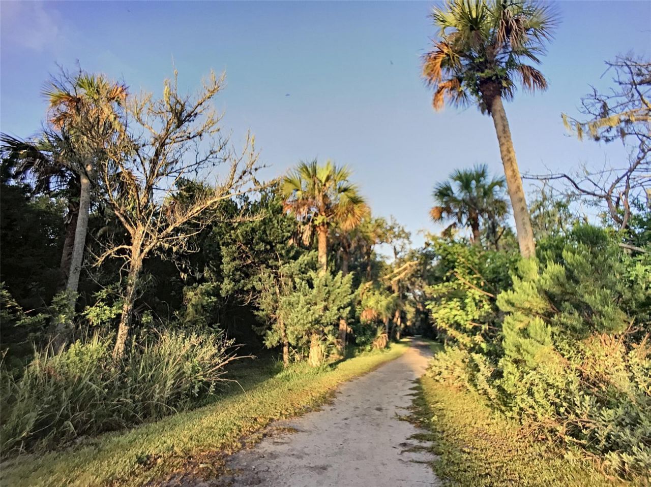 4148 Michigan Avenue , New Smyrna Beach, FL 32169 Photo