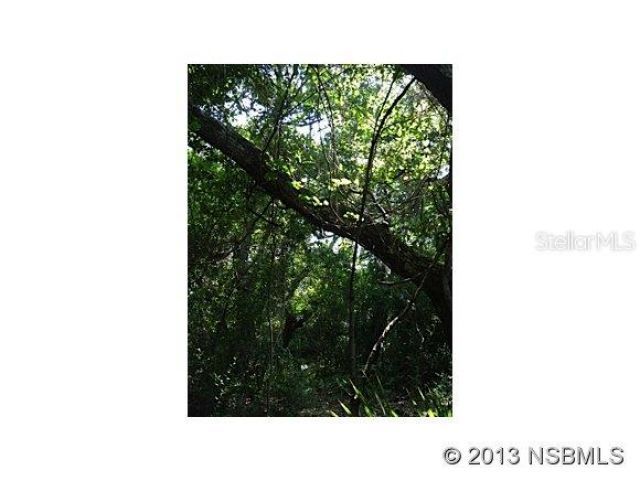 4148 Michigan Avenue , New Smyrna Beach, FL 32169 Photo