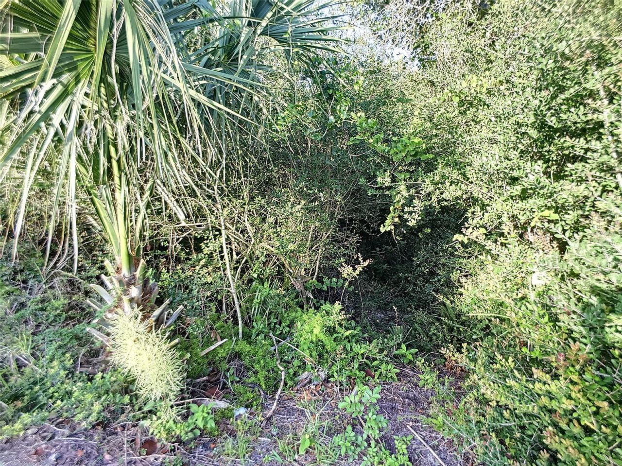 4148 Michigan Avenue , New Smyrna Beach, FL 32169 Photo