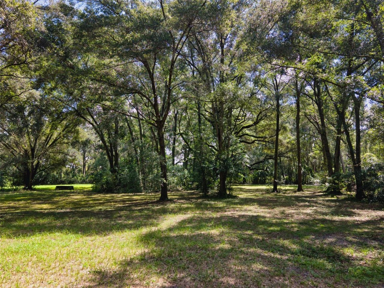Please Call For Address, Newberry, FL 32669 Photo
