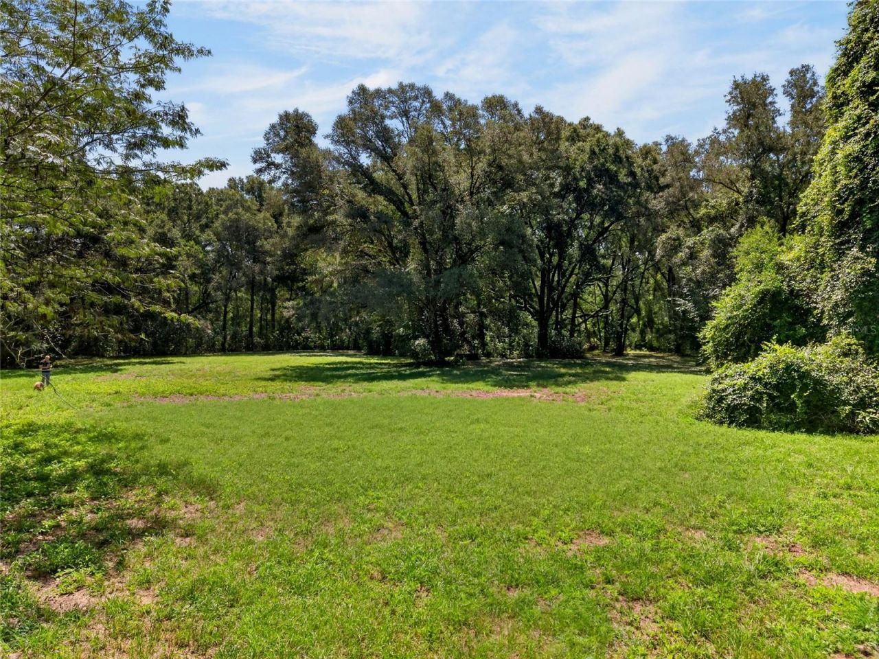 Please Call For Address, Newberry, FL 32669 Photo