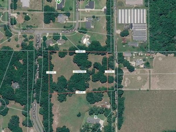 SENESE ROAD , SORRENTO, FL 32776