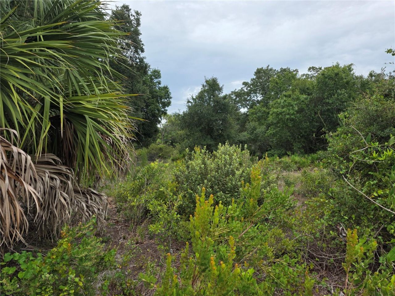 2354 Marcella Terrace , Punta Gorda, FL 33983 Photo