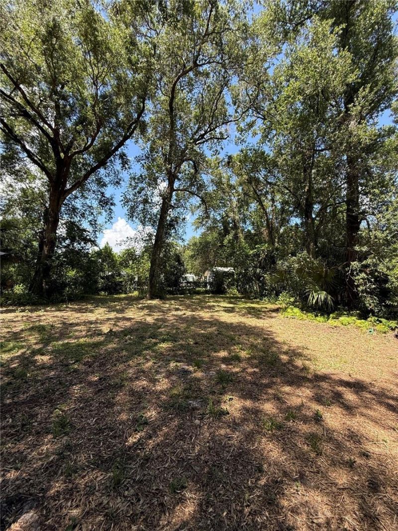 Matchett, Belle Isle, FL 32809 Photo