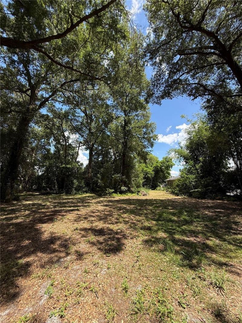 Matchett, Belle Isle, FL 32809 Photo