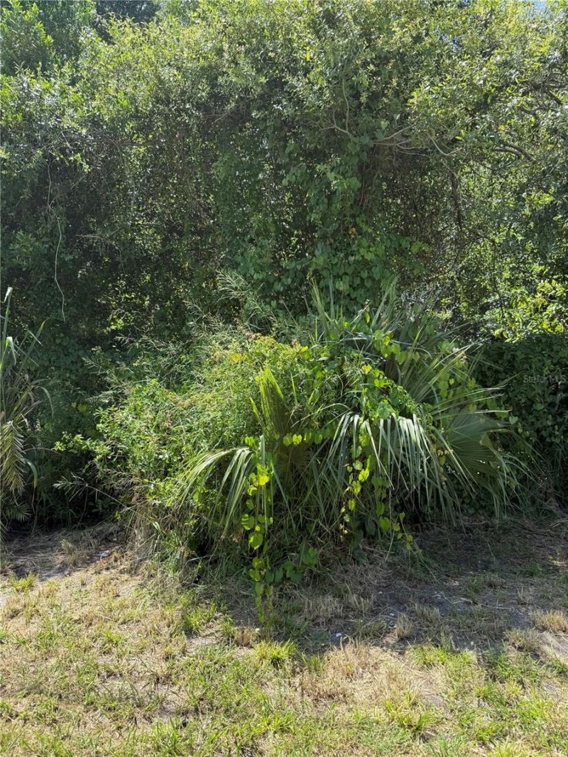 Matchett, Belle Isle, FL 32809 Photo