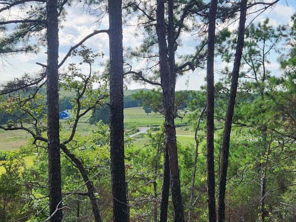 Lot 15N Tract A Reva's Way, Story, AR 71970