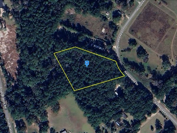 545 Homestead Drive, Ellabell, GA 31308