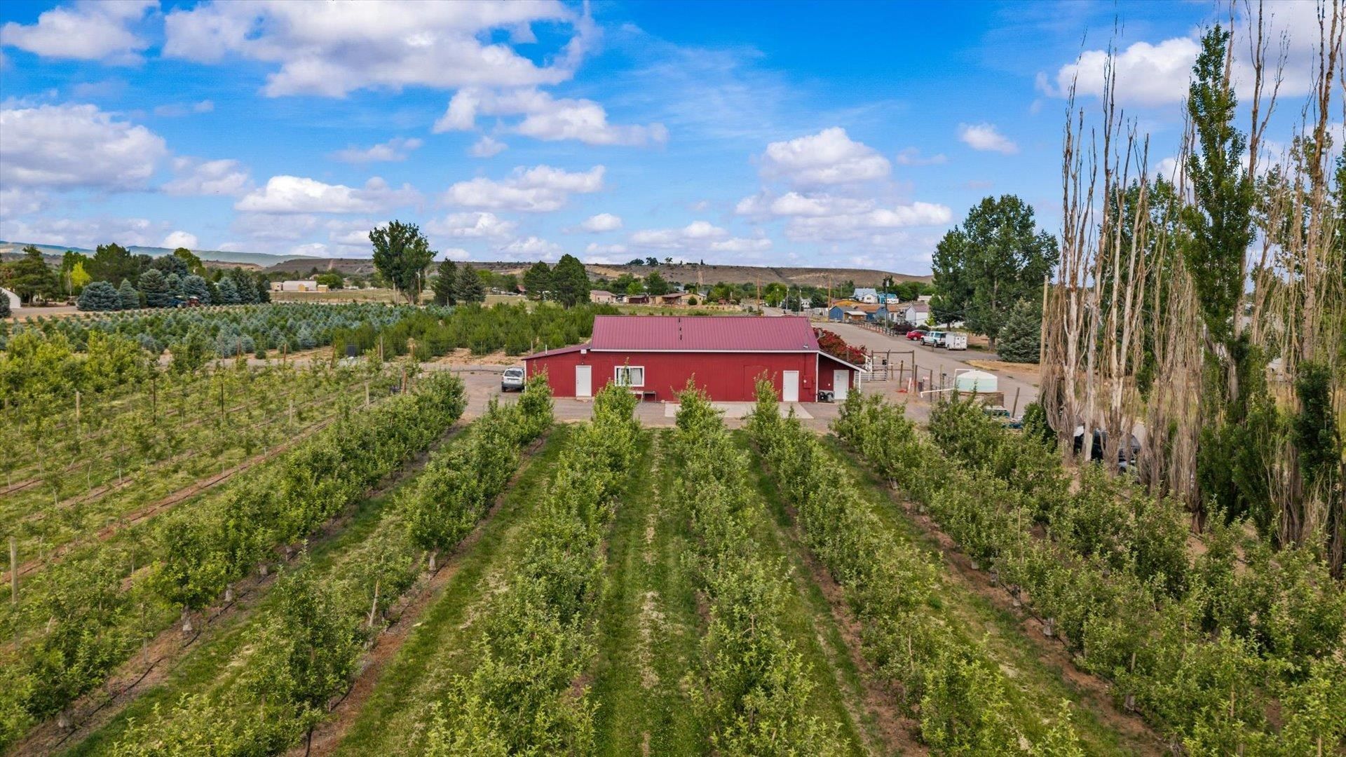 20977 Nowhere Road, Eckert, CO 81418 Main Photo