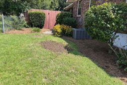 3118 Downes Grove Road  photo 4