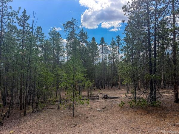 569 Birch Drive , Leadville, CO 80461