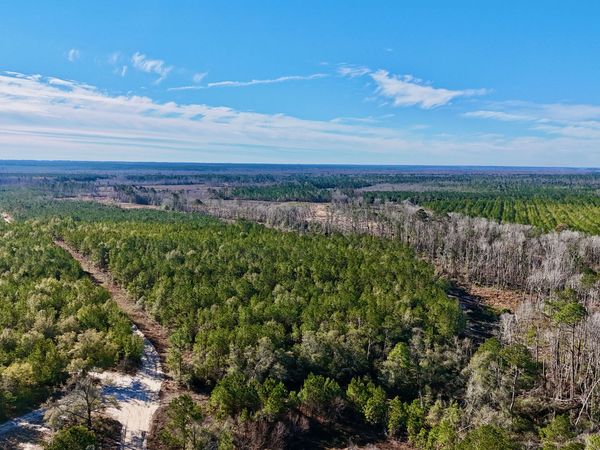TRACT 2 Tillman Cemetery Road, Lumber City, GA 31549