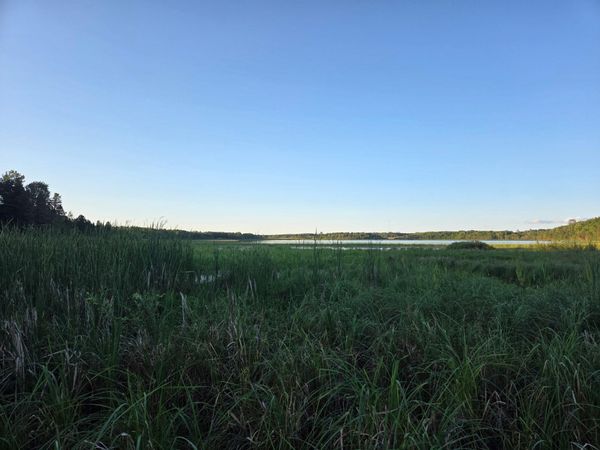 TBD (lot 2) 190th Street , Bagley, MN 56621