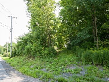 Depot Street, Natural Bridge, NY 13665