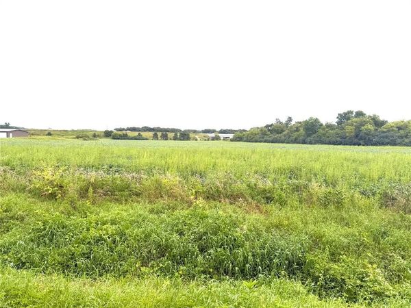 Lot 2 Van Tassel Rd, Osseo, WI 54758