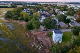 2311 Peonie Street photo 4