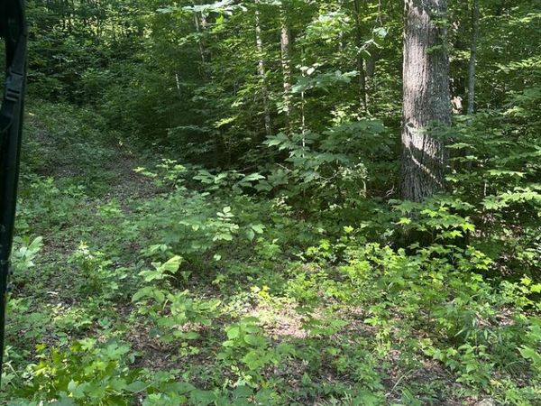 Lot 419 Grabber Lane, Wilder, TN 38589
