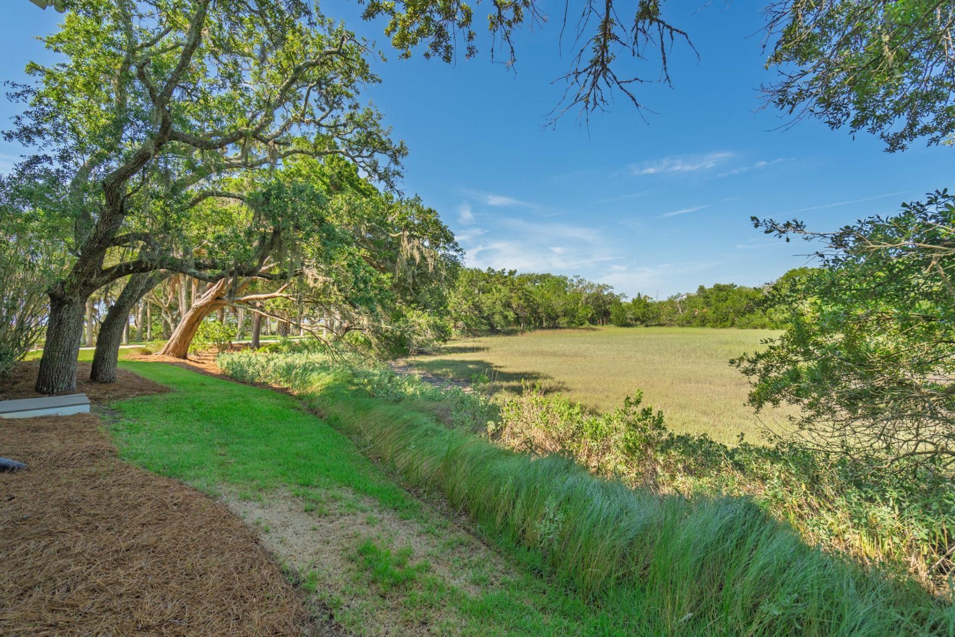 1250 Hammocks Way Photo 48