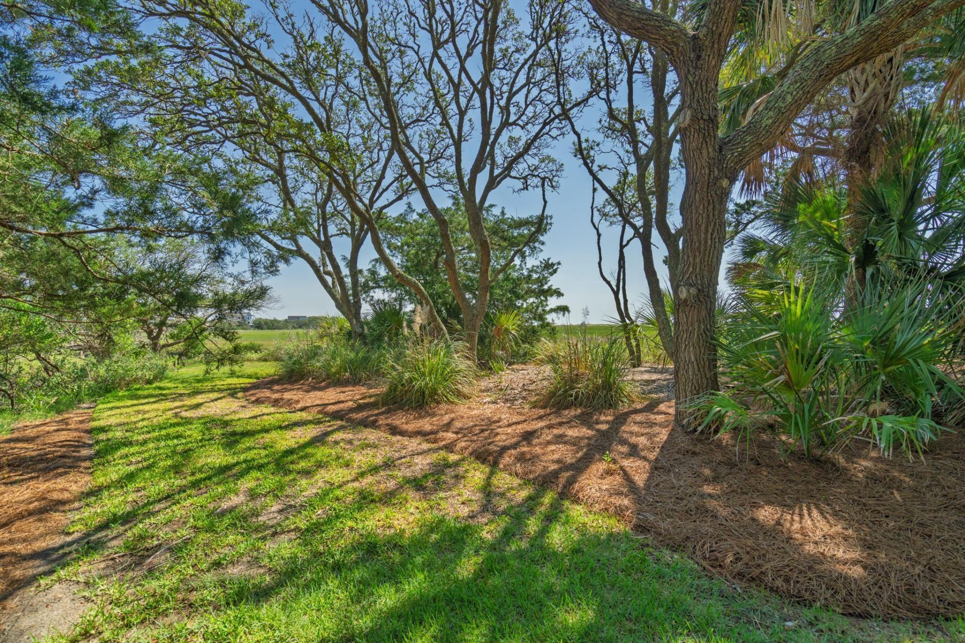 1250 Hammocks Way Photo 53