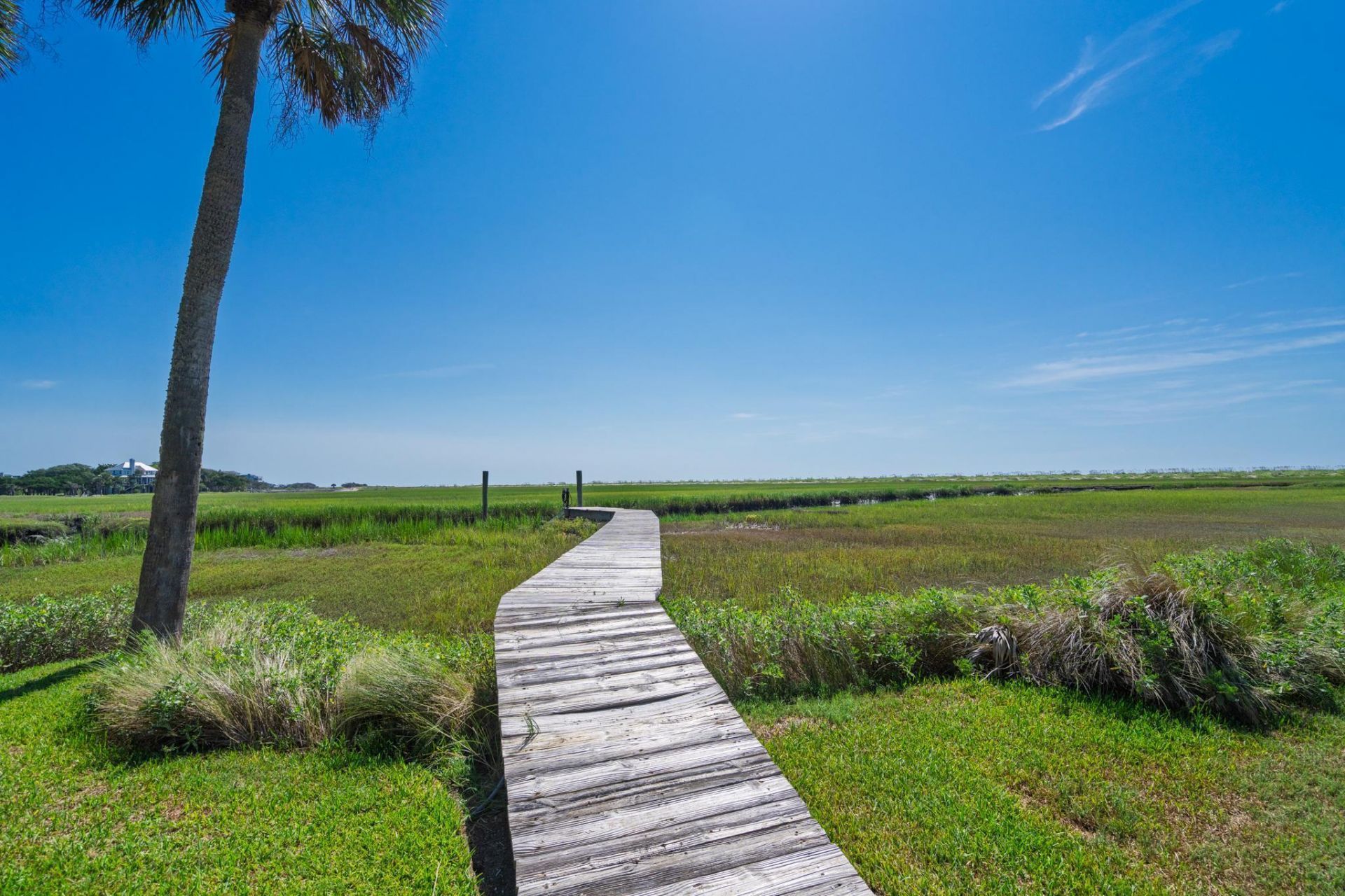 1250 Hammocks Way Photo 56