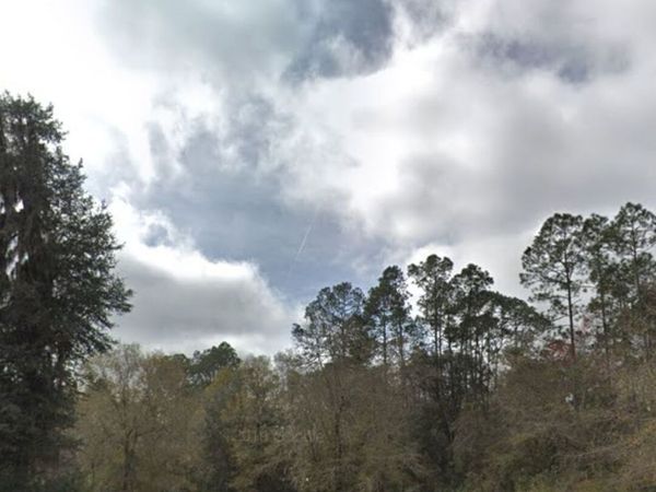0 (LOTS 1-12) Gordon Street, Unit 1-12 BLK 1, Saint George, GA 31562